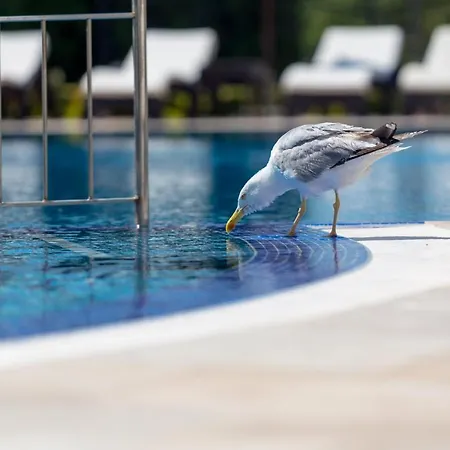Florence Boutique 3* Sveti Vlas